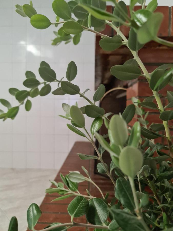 Karmy'S Home Барі Екстер'єр фото